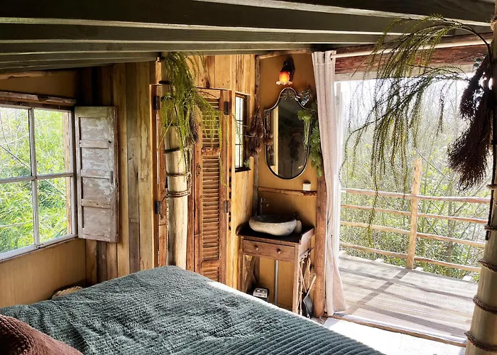 Bamboo Lodge Groningen